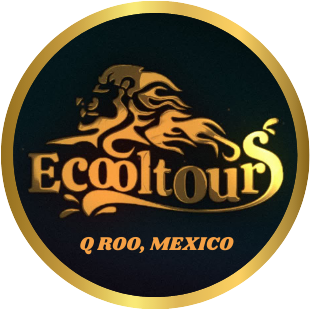 Ecooltours